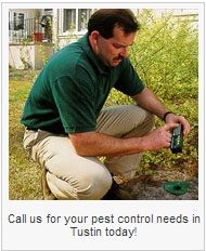Quality Tustin Pest Control & Exterminators