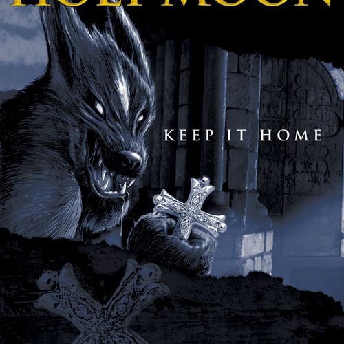 Book cover for a fantasy novel series