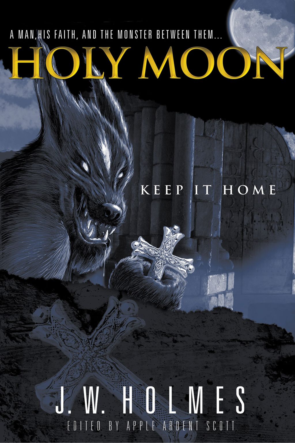 Book cover for a fantasy novel series