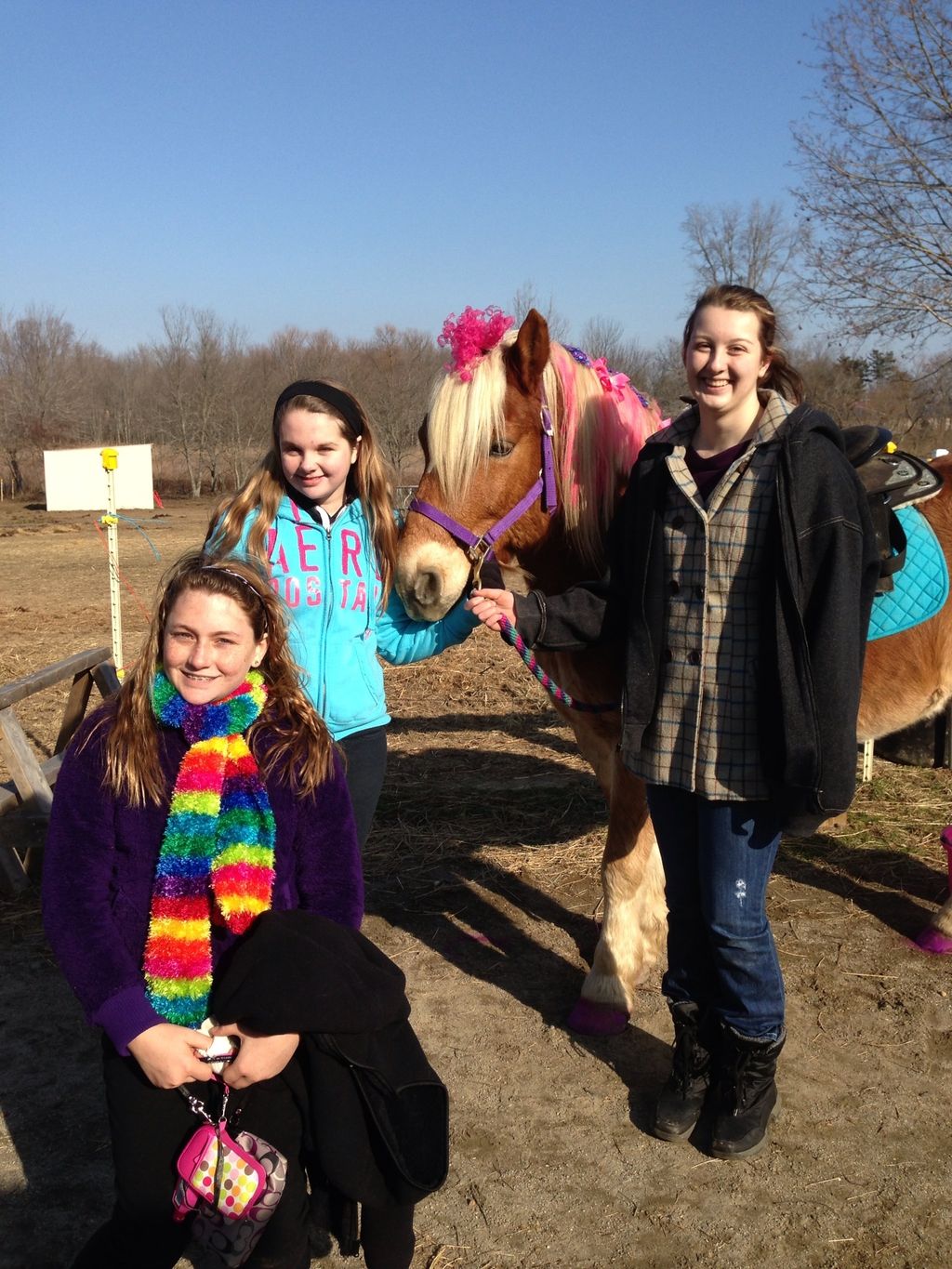 Pony Party with Thunder all dressed in pink, teal 