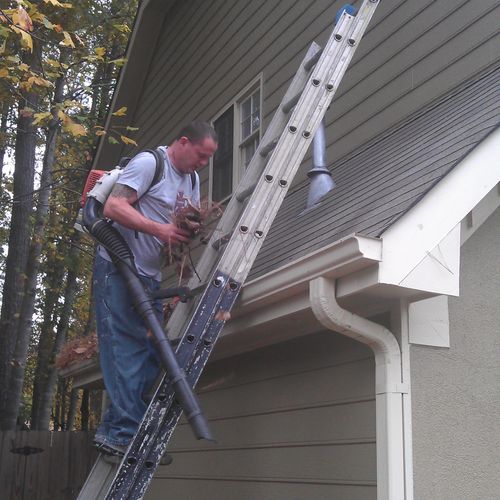 Gutter cleaning before.......
