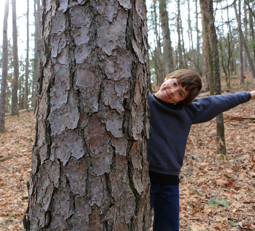 Legend Media Producers is my company - a great opt