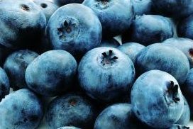 Blueberries preserve lean-body mass.
