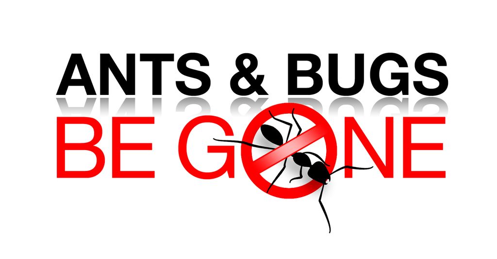 Ants And Bugs Be Gone