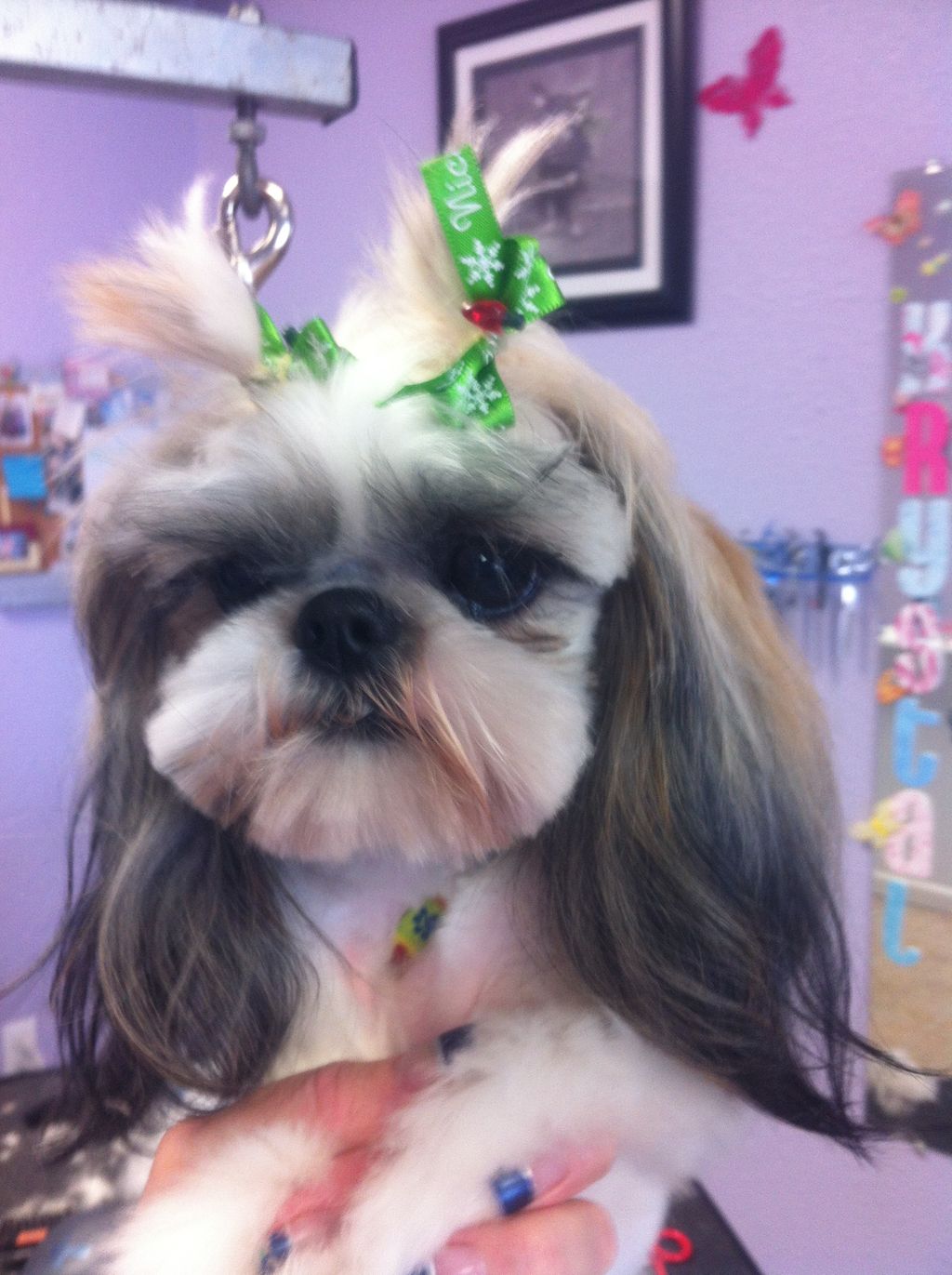 Mylee, growing out her bangs!