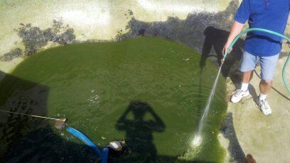 Draining and cleaning a green pool
