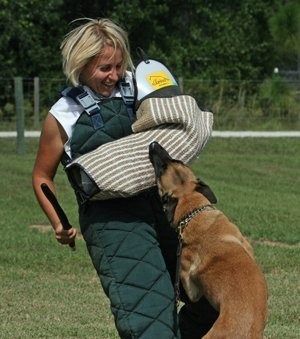 Gaby working as a decoy during Schutzhund (now kno