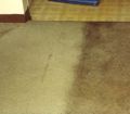Half cleaned trashed apartment carpeting