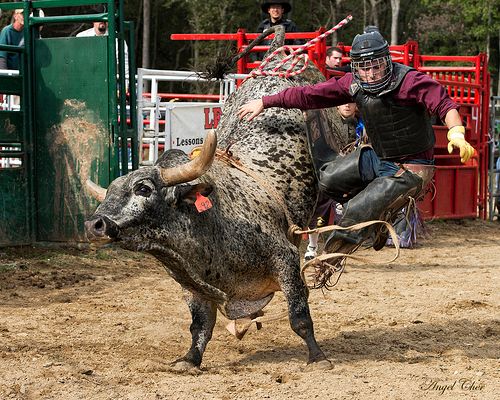 Rodeo