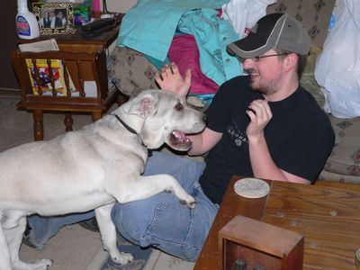 Avatar for Comfort Crew Pet Sitters