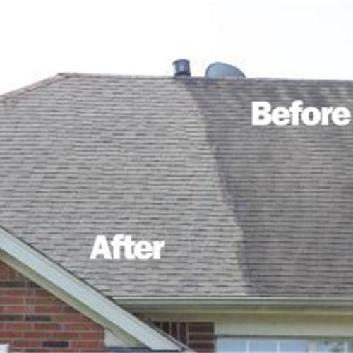 Roof cleaning to remove algae and black mold stain
