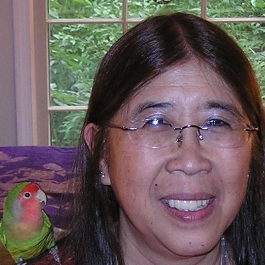 Reston Reiki and Self Healing Arts