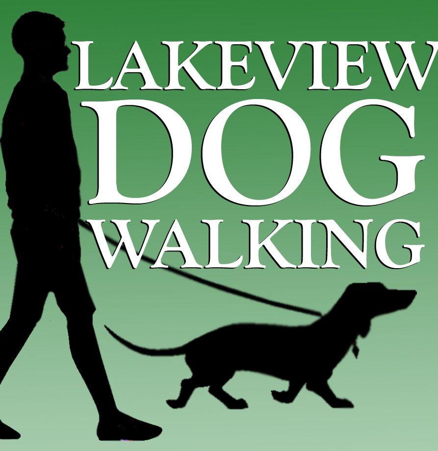 Lakeview Dog Walking
