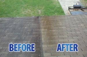 Roof Pressure Washing