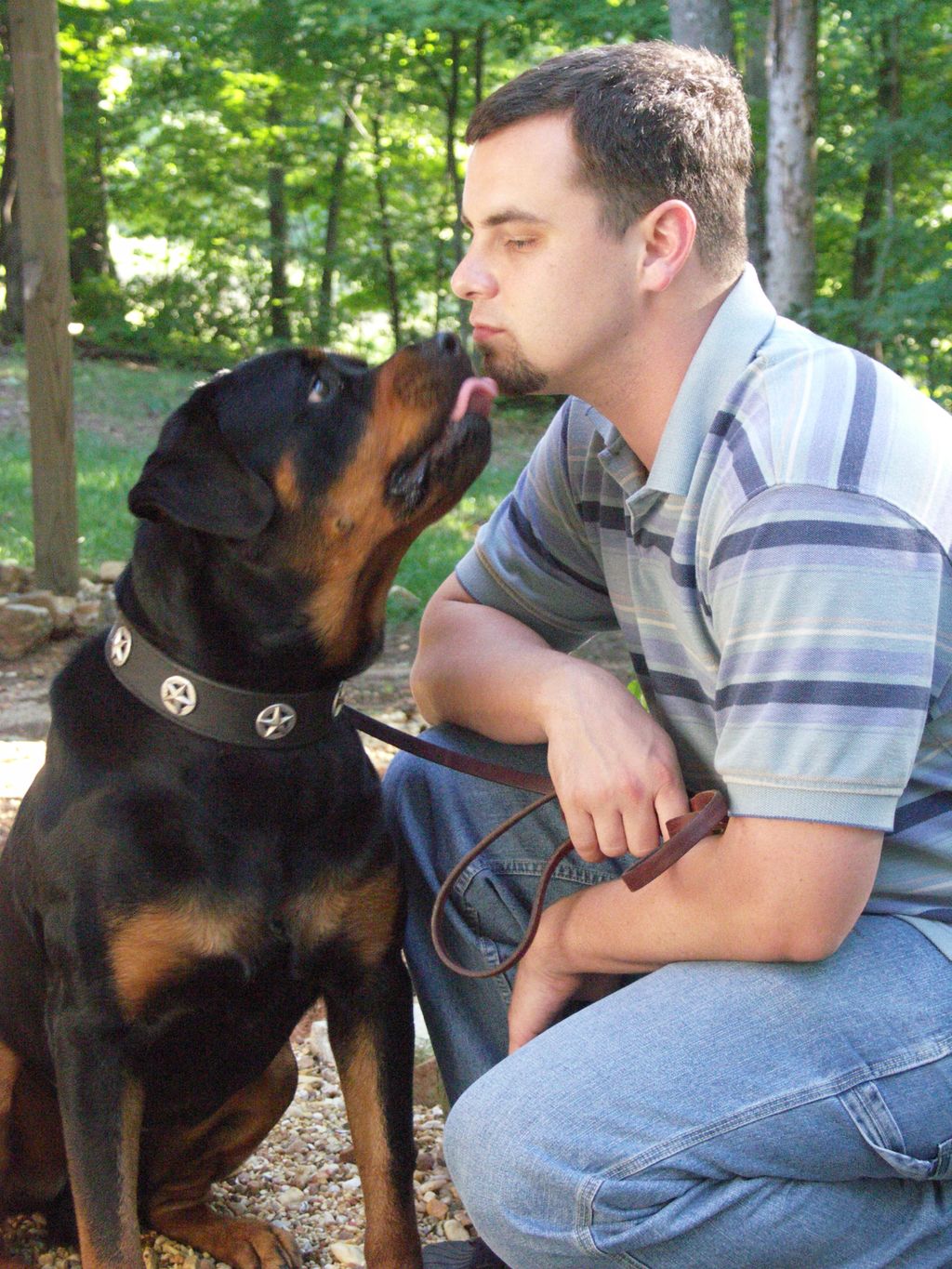 A Well Trained Dog is a Friend for Life!