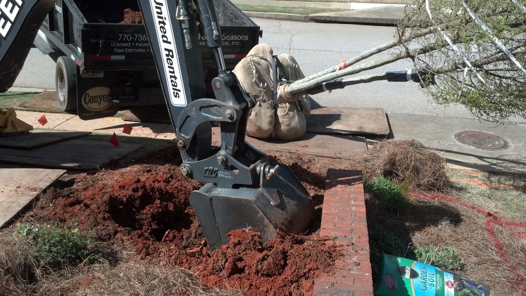 Large tree plantings in almost any area.