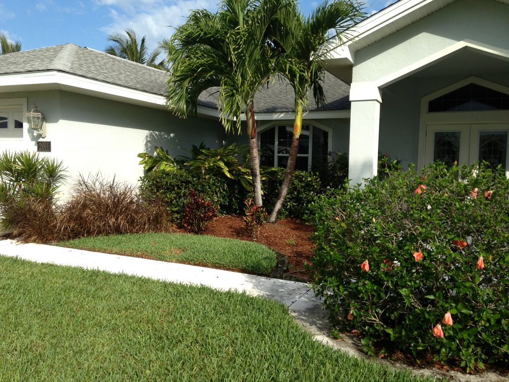 landscape renovation before