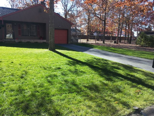 AFTER -- Complete Lawn Rennovation and Sprinklers 