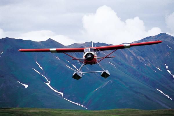 We help local businesses take off and fly to new h