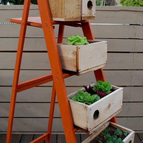 Creations like this repurposed ladder provide a ba