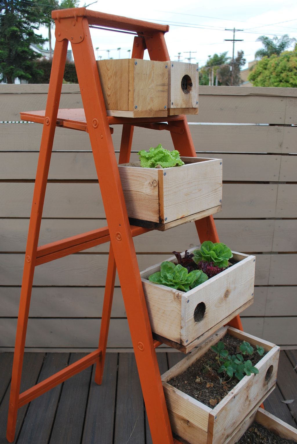 Creations like this repurposed ladder provide a ba