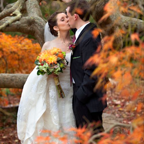 Wedding couple photographed at the botanical garde