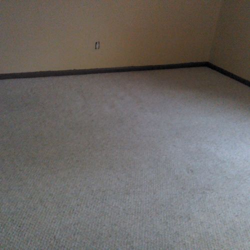 after cleaning the carpets with the rotovac 360i