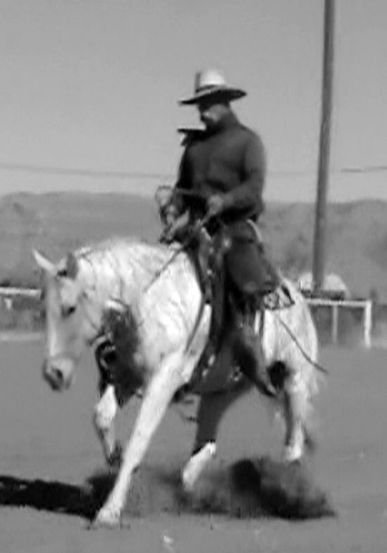 Horsemanship education