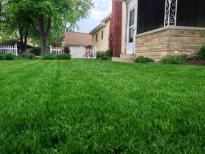 Fort Wayne lawn care, fertilizaiton, and weed cont
