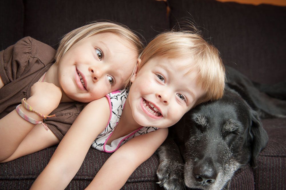 Kids & dogs