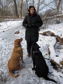 off leash work