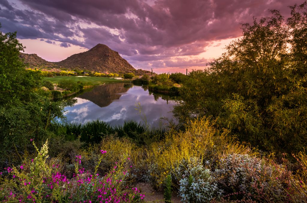 Desert Sunset