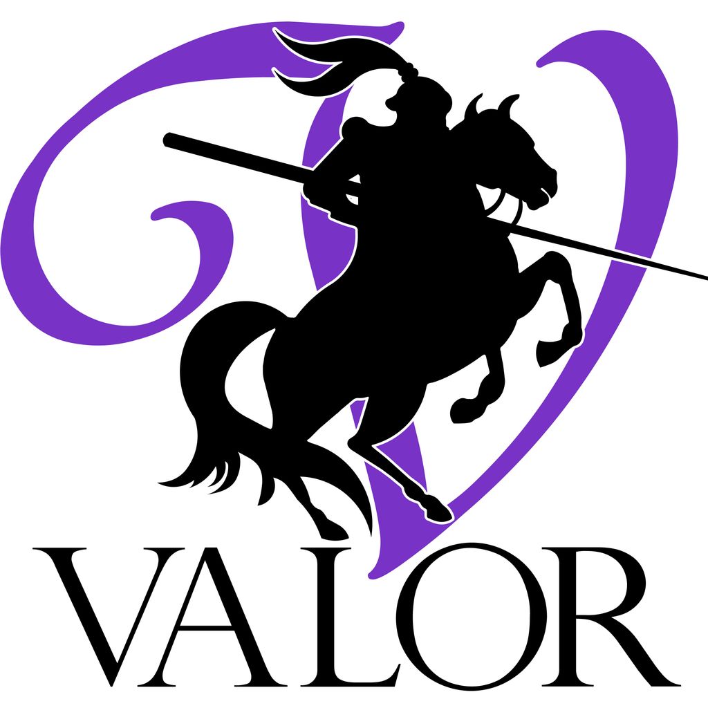 Valor Mold Removal