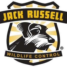 Jack Russell Wildlife Control