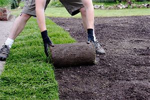 Sod install being done by one of our professionals