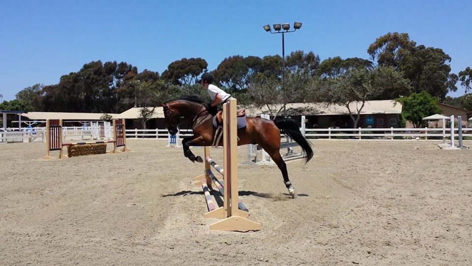 Student jumping in a lesson