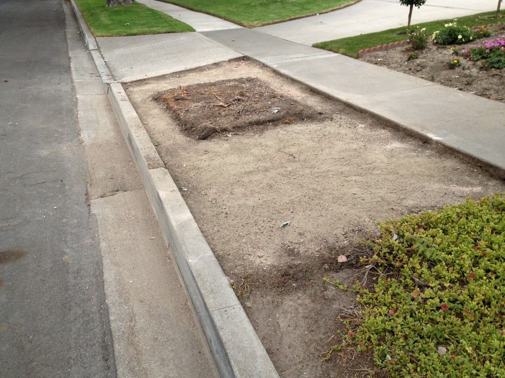 Concrete demolition, Los Alamitos, CA (After)
