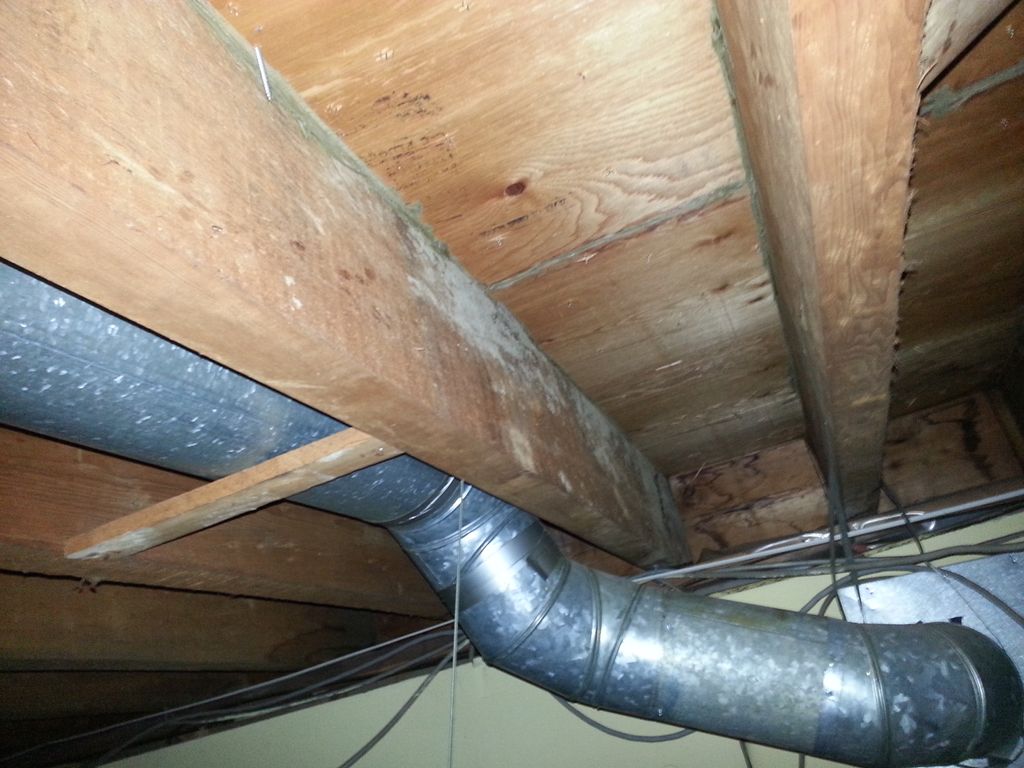 Mold on basement joists is very common when moistu