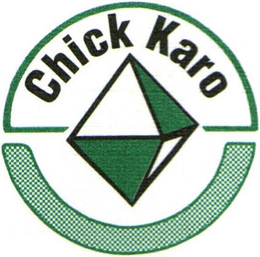 Chick & Karo CPAs PA