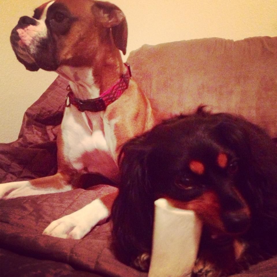 JLPS Clients: Cy (left) and Jack.