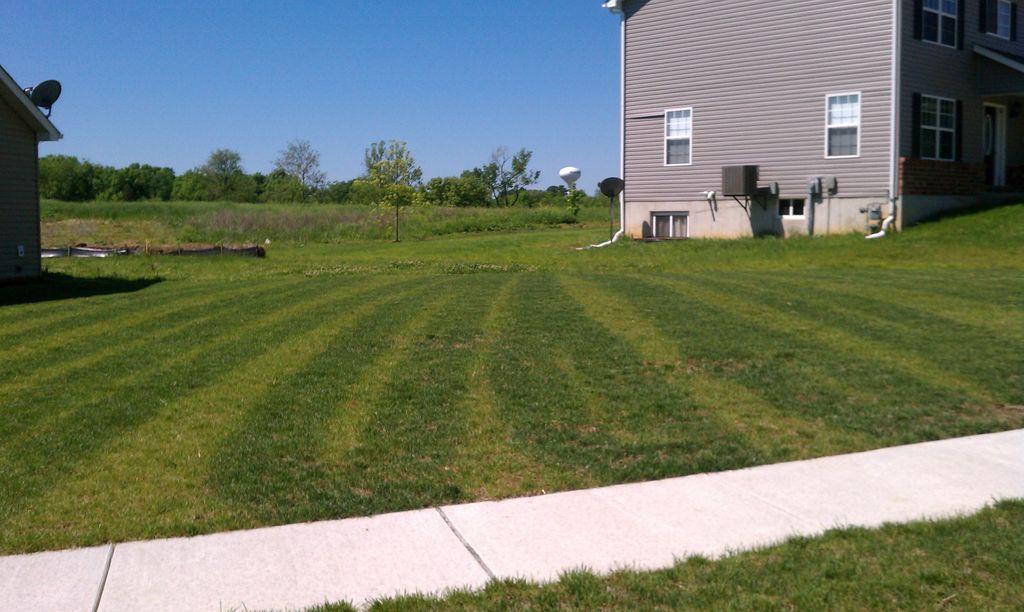 Homeowner attempting to fertilize.... dont do this