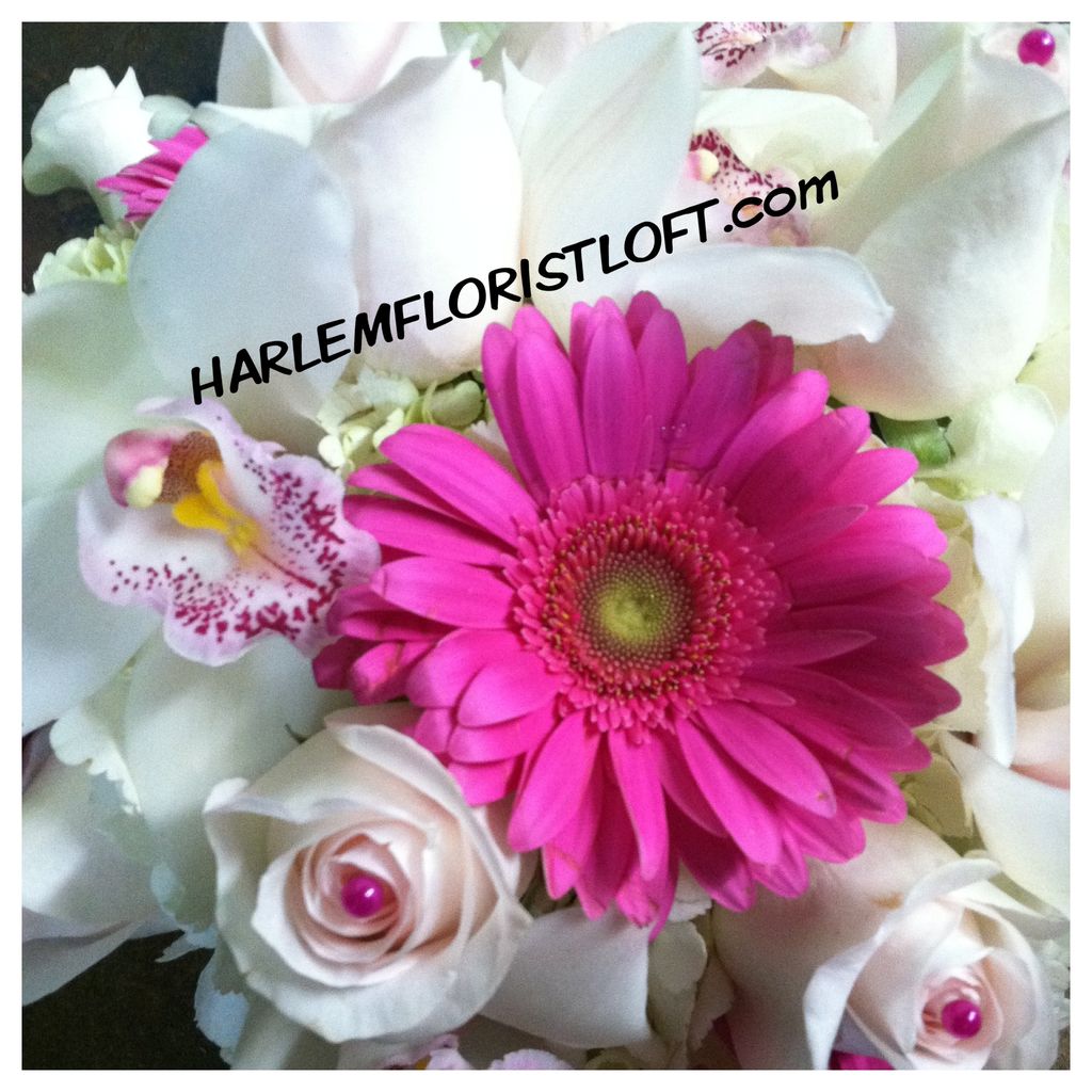 Harlem Florist Loft