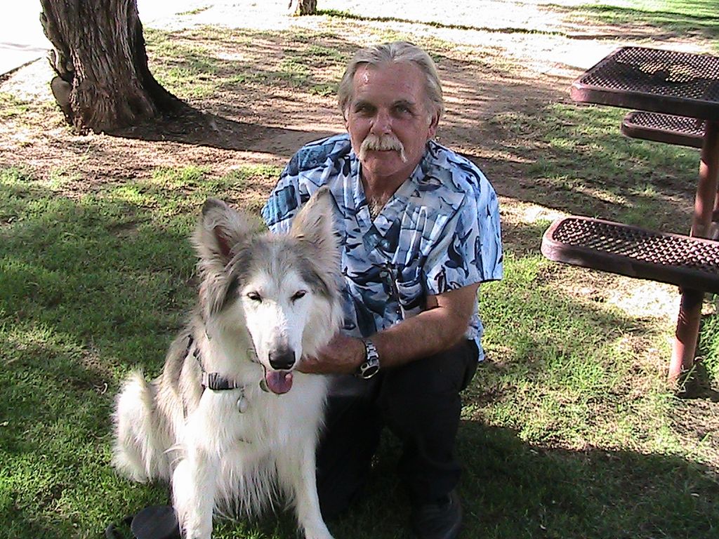Kaden Wolf Malamute