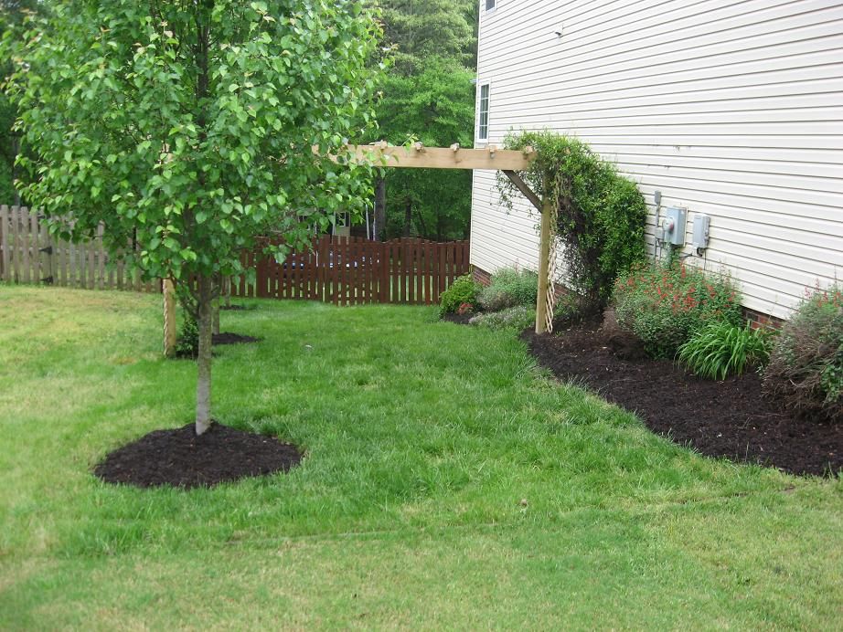 This is a yard I did from scratch. It was a jungle