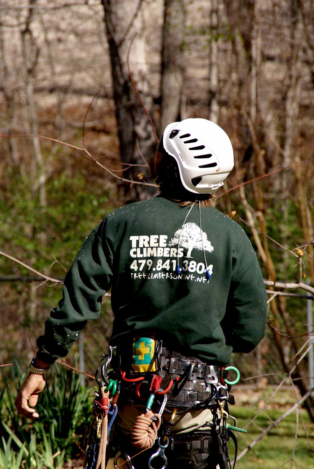 Tree Climbers LLC