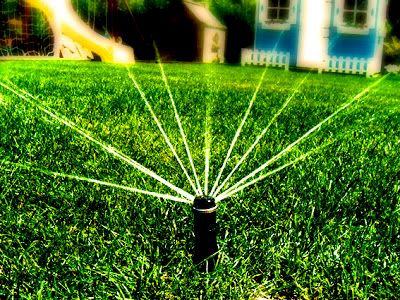 Working Lawn Sprinkler