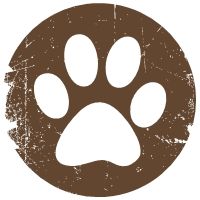 All Paws In Pet Sitting, LLC