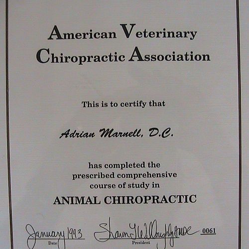 AVCA Animal Chiropractic Certificate 1993 61rst  D