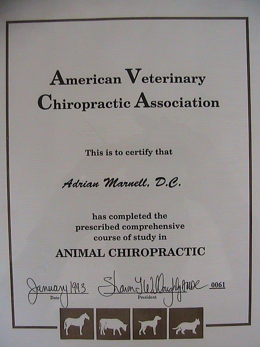 AVCA Animal Chiropractic Certificate 1993 61rst  D
