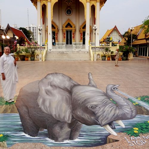 3D Street Painting for the World Wildlife Foundati